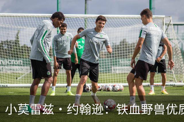 小莫雷兹·约翰逊：铁血野兽优质冠军拼图 开发三分顺位直逼乐透